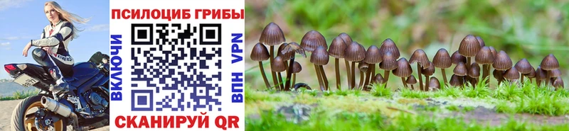 магазин продажи   Осташков  Псилоцибиновые грибы MAGIC MUSHROOMS 