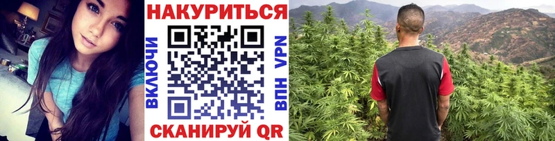 купить наркоту  Осташков  Каннабис ГИДРОПОН 